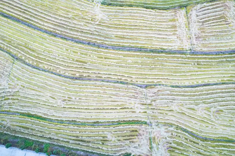 宇飞营销管理系统在中小企业销售管理中的应用案例
