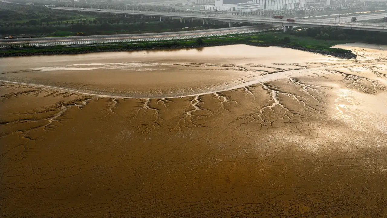2025年甘肃地区软件研发行业技术趋势分析