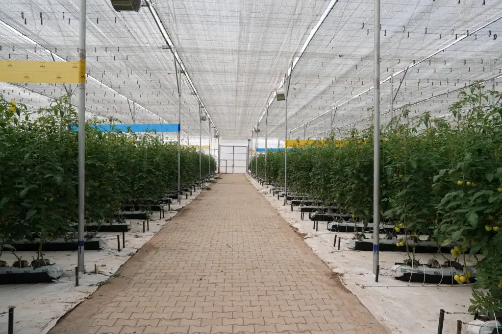 白银磊硕科技系统集成服务在销售管理中的应用实践