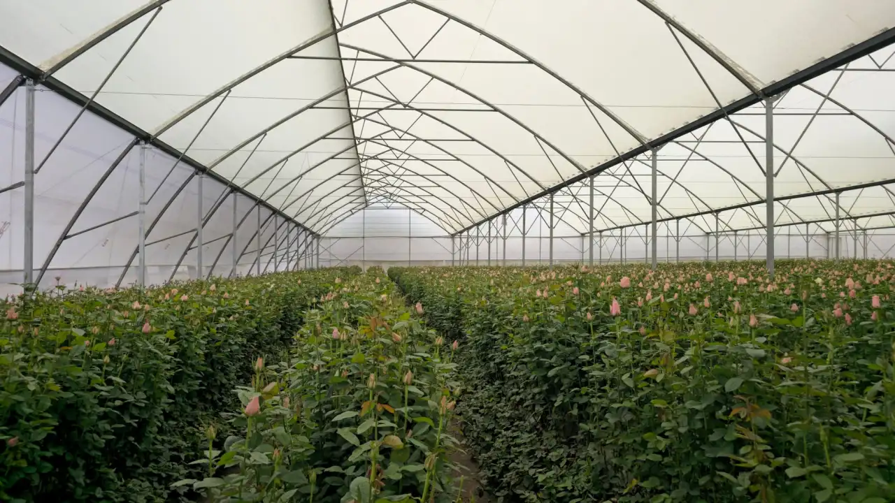 白银磊硕科技系统集成服务在甘肃企业的应用实践